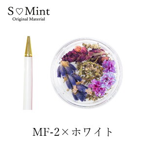 n[oEy hCt[ Mtg n[oE nhChyHerbarium Ball Pen[Gold]z ԍ ICt n[oE{[y {[y  MLp t[Mtg  Lbg