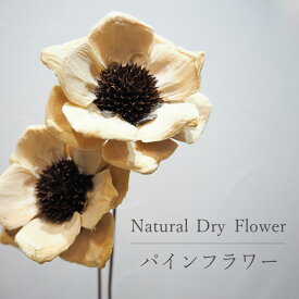 パインフラワー【2本入り】　/　ドライフラワー　ドライリーフ　DryFlower　花材　インテリア　スワッグ　ブーケ　フラワーアレンジメント　ハンドメイド　プレゼント　ギフト　ワイルドフラワー　一輪挿し