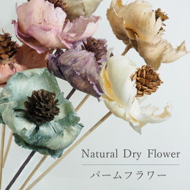 パームフラワー【1本入り】　/　ドライフラワー　ドライリーフ　DryFlower　花材　インテリア　スワッグ　ブーケ　フラワーアレンジメント　ハンドメイド　プレゼント　ギフト　ワイルドフラワー　一輪挿し