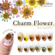 [40%OFF!]ネイル 国産 押し花 ドライフラワー ハンドメイド【CharmFlower(チャームフラワー)】エスミント…