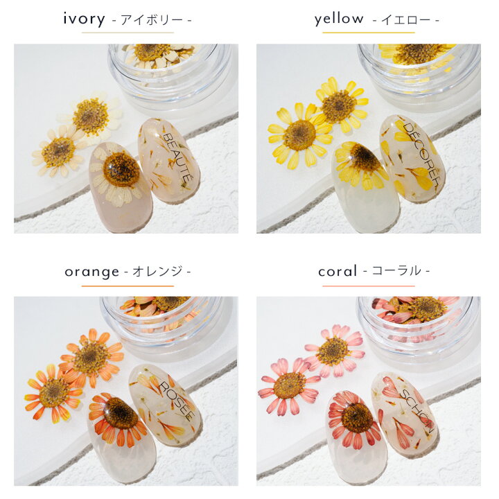 楽天市場】ネイル 国産 押し花 ドライフラワー ハンドメイド  