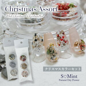 lC W  hCt[ Zbg yʌIChristmas Assort -NX}X A\[g-z nhCh GX~g   i  lCA[g ԃlC ԍ p[c l