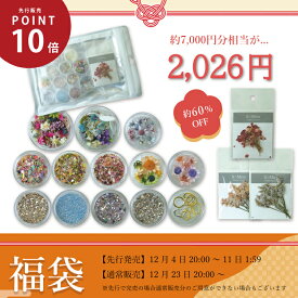 12/23通常販売【 約71％OFF！2,026円 2026年 SMint 福袋 】約7,000円分相当が2,026円に！　エスミント ネイル福袋 レジン福袋 高品質 レジン 押し花 押花 ネイルアート ナチュラル ドライフラワー 押し花ネイル 花材 パーツ ネイルパーツ 新春 福袋2026