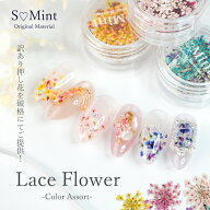 【大特価】ネイル レジン 国産 押し花 ドライフラワー ハンドメイド【Lace Flower(Colorアソート)】エス…