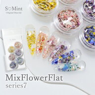 【3/15新商品】ネイル 押し花 ドライフラワー ハンドメイド 【MixFlowerFlat -series7-】エスミント 高品…