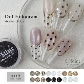 【7/30新商品】セットMAX10％OFF！ネイル 丸 ドット ホログラム 【Dot Hologram】ハンドメイド ネイルパーツ エスミント ジェルネイル ジェル ネイルアート キラキラ ネイルパーツ レジンアート レジン レジンパーツ パール