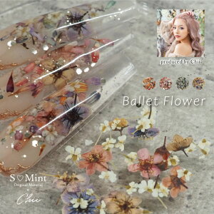 Chii hCt[ ԁySMint×Chii@Ballet FlowerzGX~gIWi ~bNXt[ t[N VF lCA[g WFlC W LL lCp[c