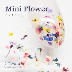 ネイル 国産 押し花 ドライフラワー ハンドメイド【Mini Flower（ミックスカラー）約0.1g入り】エスミント 高品質 押し花 押花 ネイルアート ナチュラル ドライフラワー 押し花ネイル 花材 パーツ ネイルパーツ