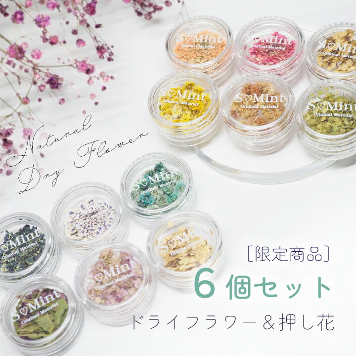 楽天市場 限定 ドライフラワー 押し花 ６個セット ２種 100 国産で高品質 押し花 豊富なカラーバリエーション ネイルアート アクセサリー ハンドメイド エスミント ナチュラル ドライフラワー ドライフラワー 押し花ネイル 花材 アクセサリーパーツ ネイル