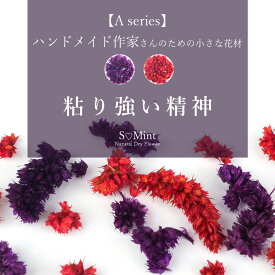 ドライフラワー 押し花 ハンドメイド ネイル【Aseries:粘り強い精神】エスミント ハンドメイド作家 アクセサリー 高品質 押し花 押花 ネイルアート ナチュラル ドライフラワー 押し花ネイル 花材 パーツ ネイルパーツ お花ネイル