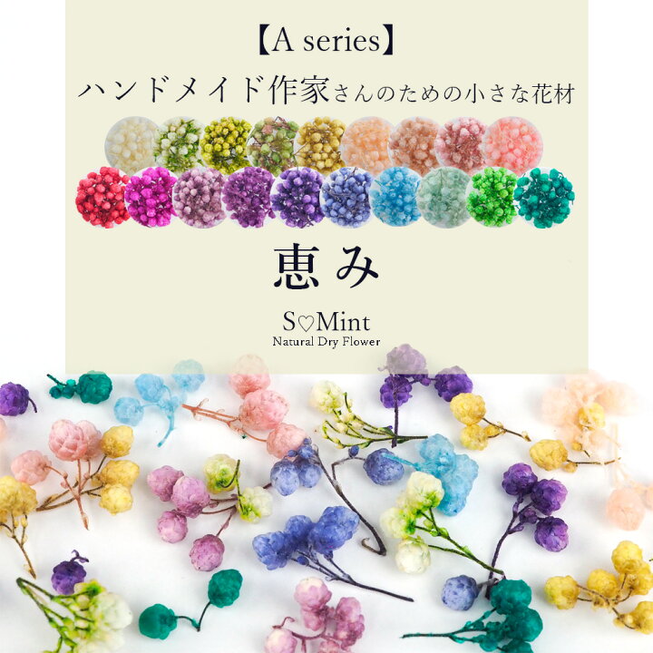 楽天市場 Aseries 恵み ハンドメイド作家さんのための小さな花材 高品質で本物のドライフラワー エスミント ナチュラル ドライフラワー ネイル ネイルアート アクセサリー ハンドメイド 花材 アクセサリーパーツ ネイルパーツ Smint
