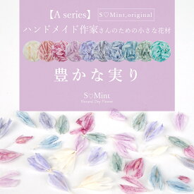 【Aseries S?Mint Original:豊かな実り】ハンドメイド作家さんのための小さな花材/高品質で本物のドライフラワー！エスミント ナチュラル ドライフラワー　ネイル 　ハンドメイド 花材 パーツ ネイルパーツ