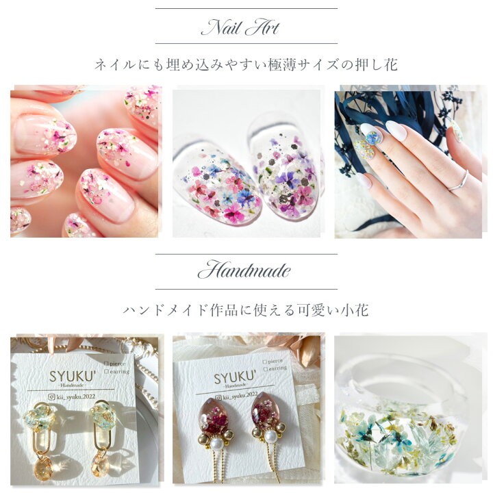 楽天市場】【Bシリーズ】グラデーション No.1〜No.7 (0,1g入り) / 100%国産で高品質 押し花!豊富なカラーバリエーション/ ネイル アート ハンドメイド エスミント ナチュラル ドライフラワー ドライフラワー 押し花ネイル 花材 ネイルパーツ : SMint