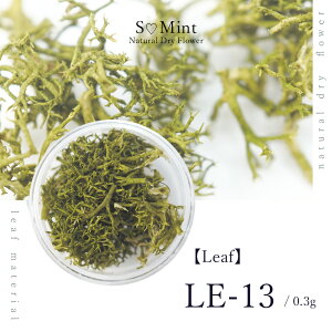 lC [t  hCt[ nhChyLeaf@LE-13zGX~g i {^jJ t   lCA[g i` hCt[ ԃlC ԍ p[c lCp