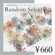 【お得なランダムセット】ドライフラワー ネイル レジン 押し花 【Lace Flower -Random Select-】エスミ…