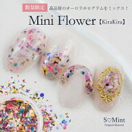 ネイル 国産 押し花 ドライフラワー ハンドメイド【Mini Flower -KiraKira-】エスミント 高品質 押し花 …