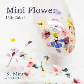ネイル 国産 押し花 ドライフラワー ハンドメイド【Mini Flower -Mix Color-】エスミント 高品質 押し花 押花 ネイルアート ナチュラル ドライフラワー 押し花ネイル 花材 パーツ ネイルパーツ