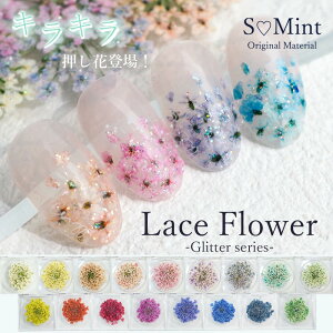 hCt[ lC W  LLyLace Flower Glitter series 0.2gzGX~g [Xt[ Ԃт nhCh i  p[c Zbg  ANZT[ lCA[