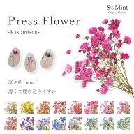 ネイル 押し花 ドライフラワー カスミソウ ハンドメイド【PressFlower -Kasumisou-】エスミント 高品質 …