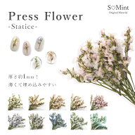 ネイル 押し花 ドライフラワー スターチス ハンドメイド【PressFlower　Statice】エスミント 高品質 押し…