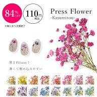 【大特価】84％OFF！※無くなり次第終了 ネイル 押し花 ドライフラワー ハンドメイド【PressFlower -Kasu…