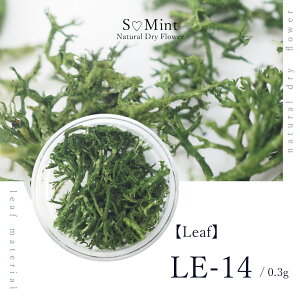 lC [t  hCt[ nhChyLeaf@LE-14zGX~g i {^jJ t   lCA[g i` hCt[ ԃlC ԍ p[c lCp