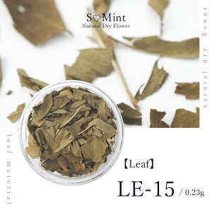 lC [t  hCt[ nhChyLeaf@LE-15zGX~g i {^jJ t   lCA[g i` hCt[ ԃlC ԍ p[c lCp