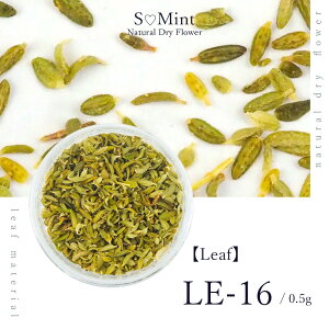 lC [t  hCt[ nhChyLeaf@LE-16zGX~g i {^jJ t   lCA[g i` hCt[ ԃlC ԍ p[c lCp