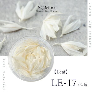 lC [t  hCt[ nhChyLeaf@LE-17z GX~g i {^jJ t   lCA[g i` hCt[ ԃlC ԍ p[c lC