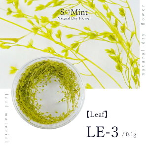 lC [t  hCt[ nhChyLeaf@LE-3zGX~g i {^jJ t   lCA[g i` hCt[ ԃlC ԍ p[c lCp