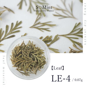 lC [t  hCt[ nhChyLeaf@LE-4zGX~g i {^jJ t   lCA[g i` hCt[ ԃlC ԍ p[c lCp