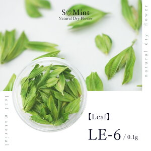 lC [t  hCt[ nhChyLeaf@LE-6z GX~g i {^jJ t   lCA[g i` hCt[ ԃlC ԍ p[c lCp