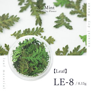 lC [t  hCt[ nhChyLeaf@LE-8z GX~g i {^jJ t   lCA[g i` hCt[ ԃlC ԍ p[c lCp