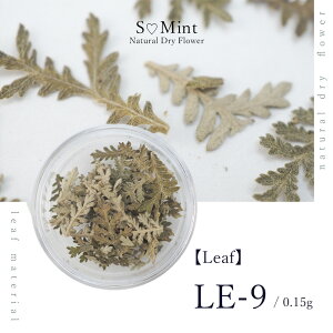 lC [t  hCt[ nhChyLeaf@LE-9z GX~g i {^jJ t   lCA[g i` hCt[ ԃlC ԍ p[c lCp