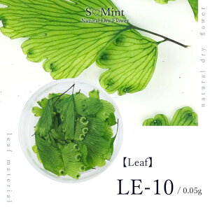 lC [t  hCt[ nhChyLeaf@LE-10z GX~g i {^jJ t   lCA[g i` hCt[ ԃlC ԍ p[c lC