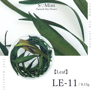 lC [t  hCt[ nhChyLeaf@LE-11z GX~g i {^jJ t   lCA[g i` hCt[ ԃlC ԍ p[c lC