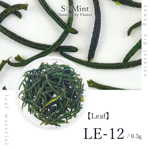 lC [t  hCt[ nhChyLeaf@LE-12zGX~g i {^jJ t   lCA[g i` hCt[ ԃlC ԍ p[c lCp