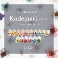 ネイル レジン コデマリ 押し花 ドライフラワー ハンドメイド【 Kodemari (旧Dseries)】エスミント こで…