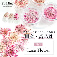 ネイル レジン 国産 押し花 ドライフラワー ハンドメイド【Lace Flower(旧Bseries) -Blue-0.05/0.1g入り…