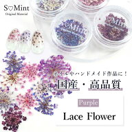 ネイル レジン 国産 押し花 ドライフラワー ハンドメイド【Lace Flower(旧Bseries) -Blue-0.05/0.1g入り…