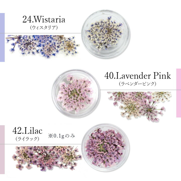 楽天市場】ネイル 国産 押し花 ドライフラワー ハンドメイド【Lace 