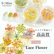 ネイル レジン 国産 押し花 ドライフラワー ハンドメイド【Lace Flower(旧Bseries) -Blue-0.05/0.1g入り…