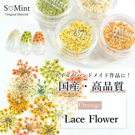 ネイル レジン 国産 押し花 ドライフラワー ハンドメイド【Lace Flower(旧Bseries) -Blue-0.05/0.1g入り】エスミント レースフラワー 花びら ハンドメイド 高品質 押花 パーツ セット 封入 アクセサリー ネイルアート 押し花ネイル 花材 パーツ ネイルパーツ 花 素材 材料