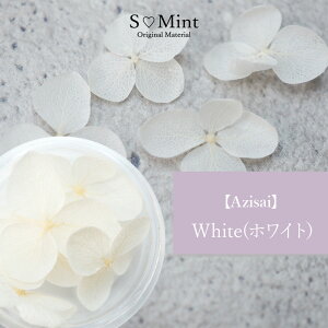 hCt[  nhCh lCyAzisaimWhitenzGX~g nhCh ANZT[ i   lCA[g i` hCt[ ԃlC ԍ p