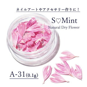 ドライフラワー キットの通販 価格比較 価格 Com ドライフラワー キットの通販 価格比較 価格 Com