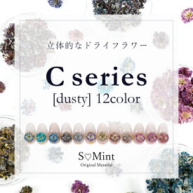 ネイル 国産 押し花 ドライフラワー ハンドメイド【Cシリーズ-dusty-】単品12色(16個入り) エスミント 高品質 押し花 押花 ネイルアート ナチュラル ドライフラワー 押し花ネイル 花材 パーツ ネイルパーツ 染め かすみ草