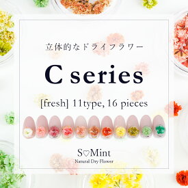 ネイル 国産 押し花 ドライフラワー ハンドメイド【Cシリーズ-fresh-】単品10色(16個入り)エスミント 高品質 押し花 押花 ネイルアート ナチュラル ドライフラワー 押し花ネイル 花材 パーツ ネイルパーツ 染め かすみ草