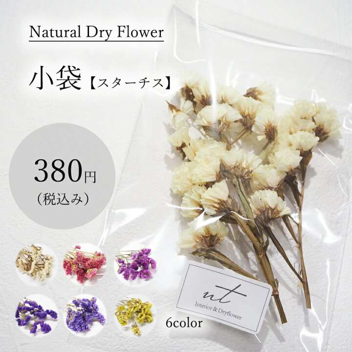 楽天市場 ドライフラワー小袋 カラーを選べる スターチス スターチス ハンドメイド 花材 ドライフラワー Dryflower ドライフラワーインテリア スワッグ ブーケ フラワーアレンジメント ブライダル Smint