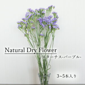 スターチス ドライフラワーの人気商品 通販 価格比較 価格 Com