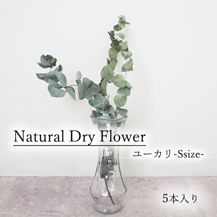 楽天市場 ユーカリsサイズ5本入り ユーカリ ドライフラワー Dryflower インテリア スワッグ フラワーアレンジメント Smint